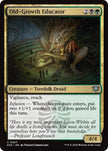 Old-Growth Educator 207 (Secrets of Strixhaven)  - Foil