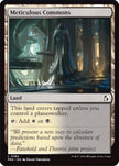 Meticulous Commons 184 (Reality Fracture) 