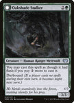 Oakshade Stalker // Moonlit Ambusher 212/277 (Innistrad: Crimson Vow)  - Foil