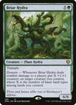 Briar Hydra 286 (Dominaria United) 