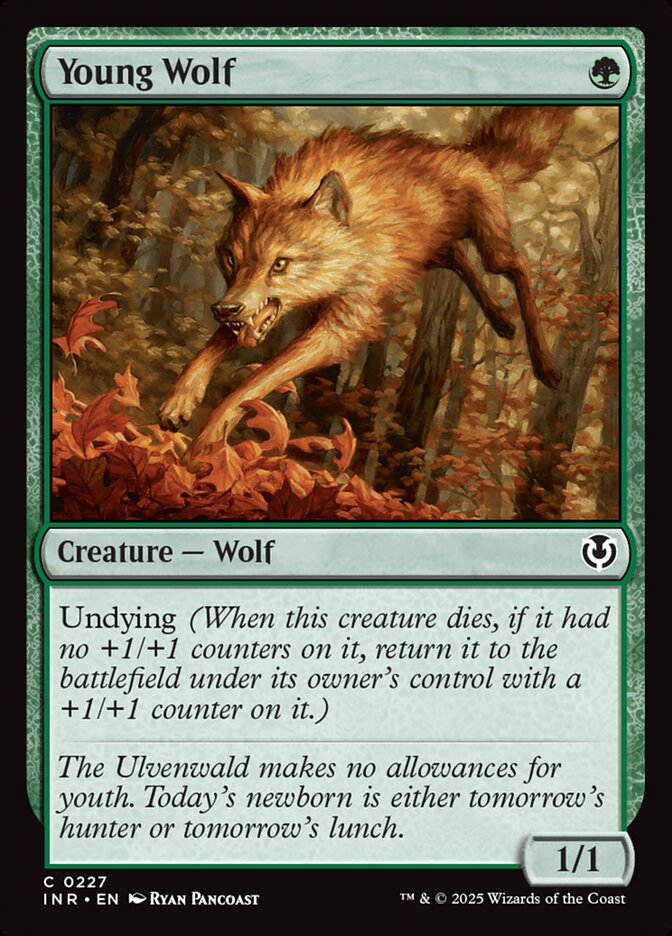 Young Wolf 227/287 (Innistrad Remastered) 