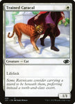 Trained Caracal 256 (Jumpstart 2022) 