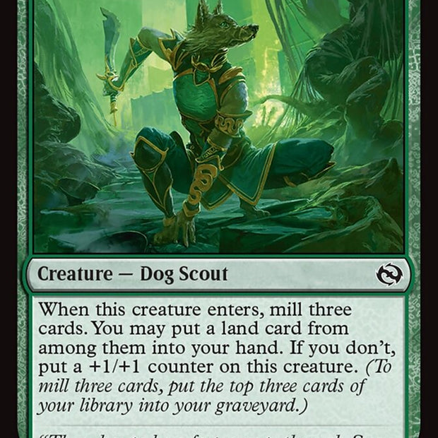 Ainok Wayfarer (Tarkir: Dragonstorm) 