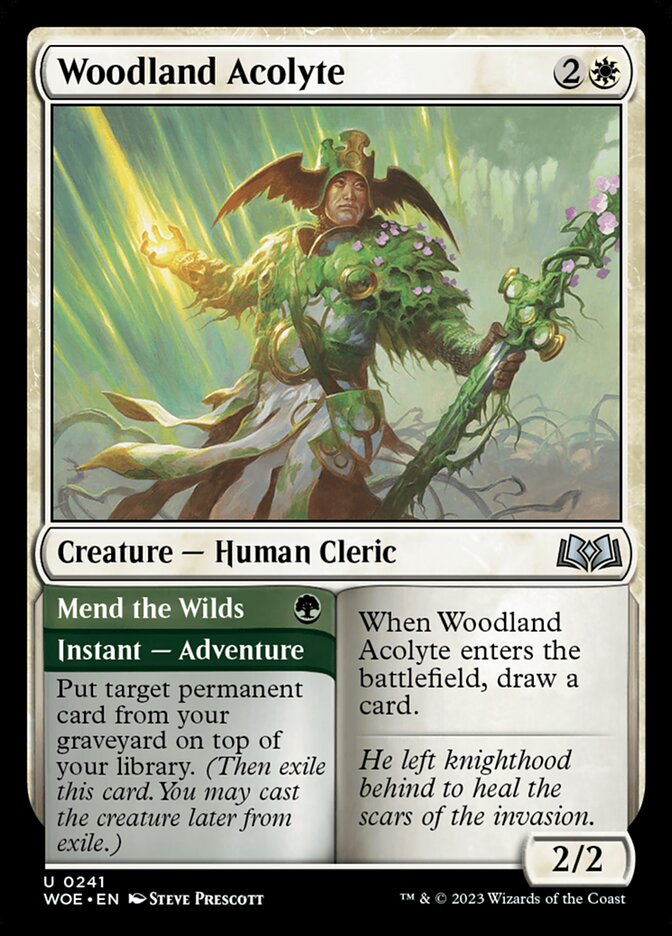 Woodland Acolyte // Mend the Wilds 241/276 (Wilds of Eldraine)  - Foil