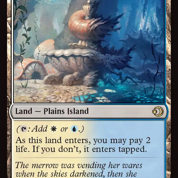 Hallowed Fountain 265 (Lorwyn Eclipsed) 