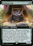 Owlbear Cub Extended Art 592 (Commander Legends: Battle for Baldur's Gate) 