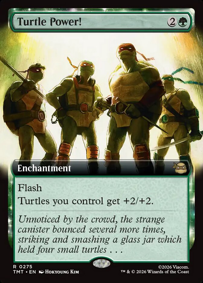 Turtle Power! 275/190 (Teenage Mutant Ninja Turtles)  - Extended Art Foil