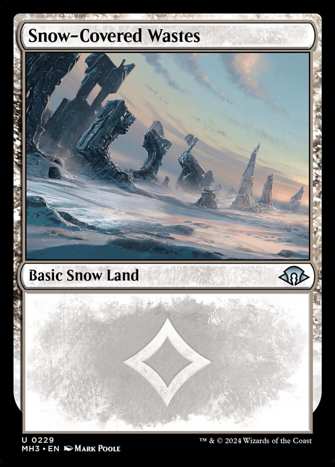 Snow-Covered Wastes 229/319 (Modern Horizons 3)  - Foil