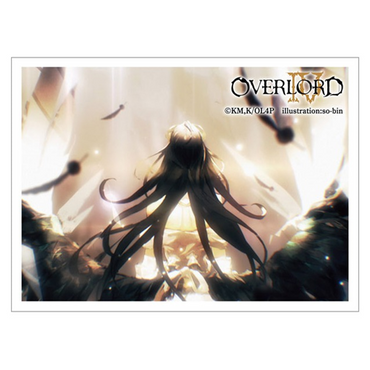 Overlord IV Sleeve (Albedo C)