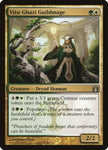 Vitu-Ghazi Guildmage 207/274 (Return to Ravnica)  - Foil