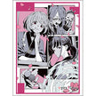 Bushiroad Sleeve Collection High Grade Vol.4931 Lycoris Recoil 