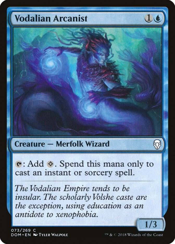 Vodalian Arcanist 73/269 (Dominaria) 