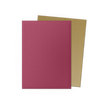 Dragon Shield: Standard 100ct Special Edition - Red Gold
