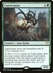 Capricopian 58/322 (Commander 2020) 