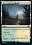 Overgrown Farmland 265/277 (Innistrad: Midnight Hunt) 