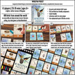 Wingspan – Pocket Edition