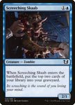 Screeching Skaab 48/80 (Duel Decks: Blessed vs. Cursed) 
