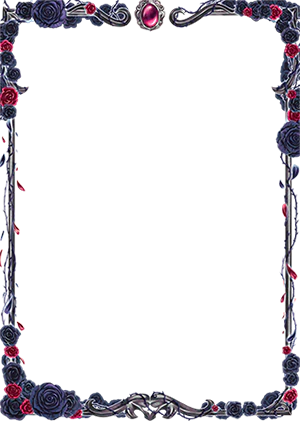 Mana Moon - Black Garden Border Oversleeves (100ct Standard)
